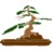 boisebonsai.com